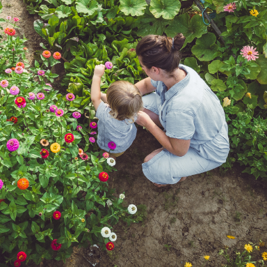 Samen in de Zomertuin 